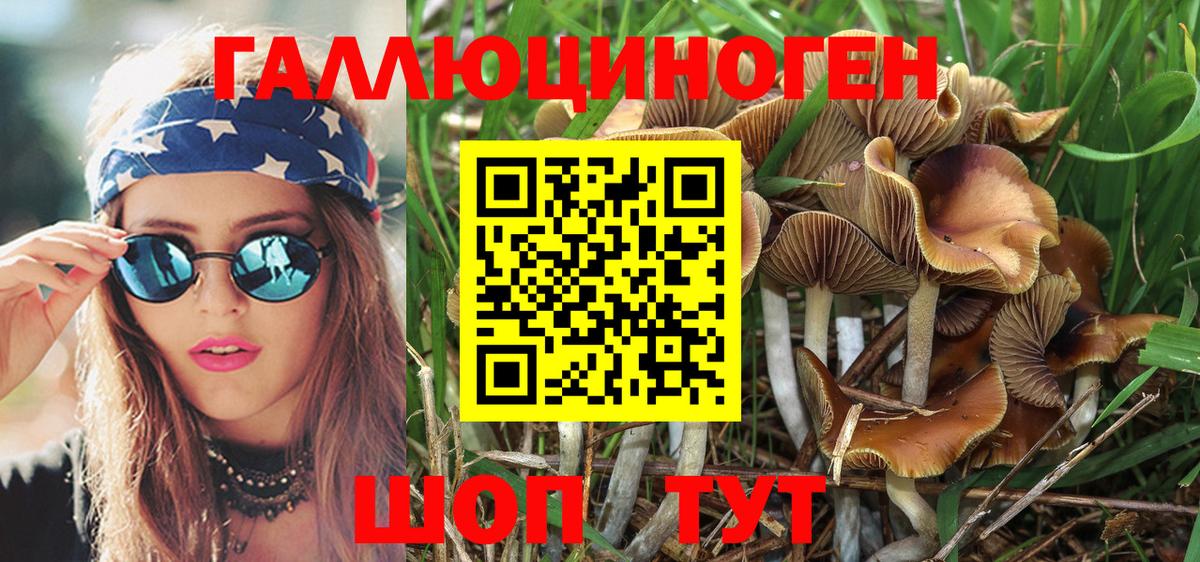 Галлюциногенные грибы мицелий  закладка  Верхняя Пышма 