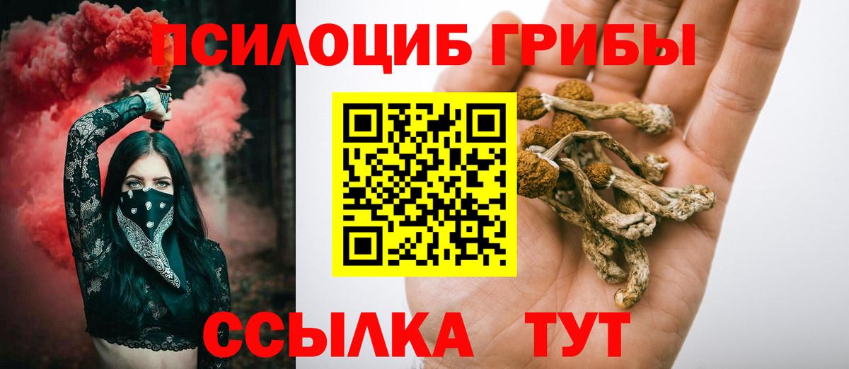 Галлюциногенные грибы мицелий Верхняя Пышма