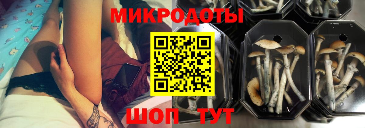 Верхняя Пышма  Псилоцибиновые грибы Cubensis  Вход с VPN 