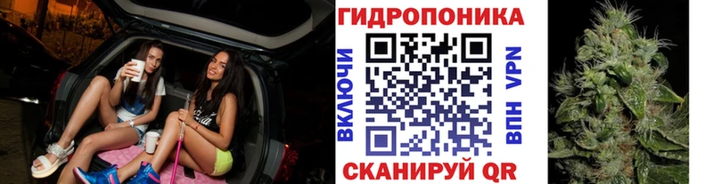 блэк спрут как зайти  Верхняя Пышма  Бошки Шишки OG Kush 